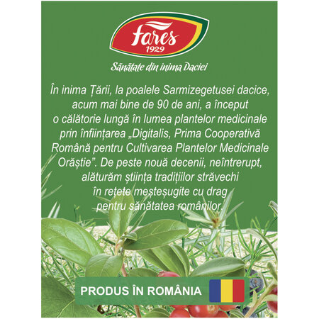 Ceai Diurosept, U60, 20 plicuri, Fares 623531