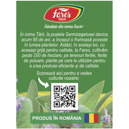 Ceai de salvie G 95, 20 plicuri, Fares 618368
