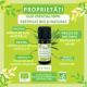 Ulei esential de Tea Tree Bio, 10 ml, Born to Bio 629796