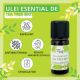 Ulei esential de Tea Tree Bio, 10 ml, Born to Bio 629795