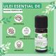 Ulei esential de Busuioc Tropical Bio, 10 ml, Born to Bio 629807