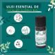 Ulei Esential de Eucalipt Globus Bio, 10 ml, Born to Bio 629813