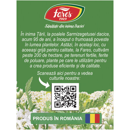 Ceai Coada Soricelului D 119, 20 plicuri, Fares 618548
