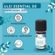 Ulei Esential de Dafin Nobil Bio, 5ml, Born to Bio 629819