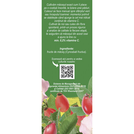 Ceai Macese fructe F 183, 50 g, Fares 618073