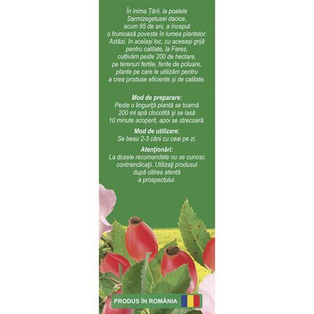Ceai Macese fructe F 183, 50 g, Fares 618072