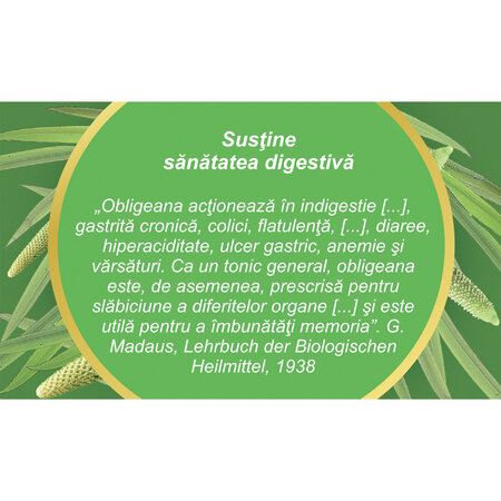 Ceai Obligeana radacina D 46, 50 g, Fares 618094