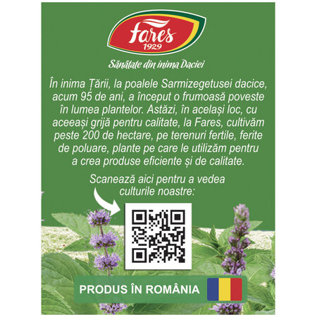 Ceai de menta D 125, 20 plicuri, Fares 618428