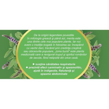 Ceai de menta D 125, 20 plicuri, Fares 618430
