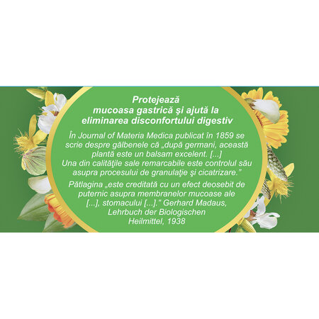 Ceai Gastric D40, 20 plicuri, Fares 623525