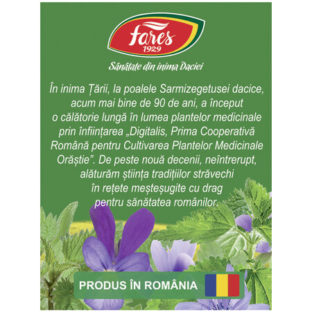 Ceai Detoxifiant, P142, 20 plicuri, Fares 623905