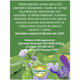 Ceai Detoxifiant, P142, 20 plicuri, Fares 623904