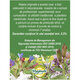 Ceai Hapciu, R2, 20 plicuri, Fares 623660
