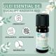 Ulei Esential de Eucalipt Radiata Bio, 10 ml, Born to Bio 629843