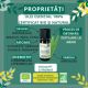 Ulei Esential de Eucalipt Citronat Bio, 10 ml, Born to Bio 629851