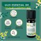 Ulei Esential de Eucalipt Citronat Bio, 10 ml, Born to Bio 629850