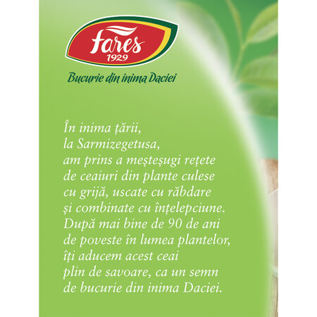 Ceai Verde, 20 plicuri, Fares 623644