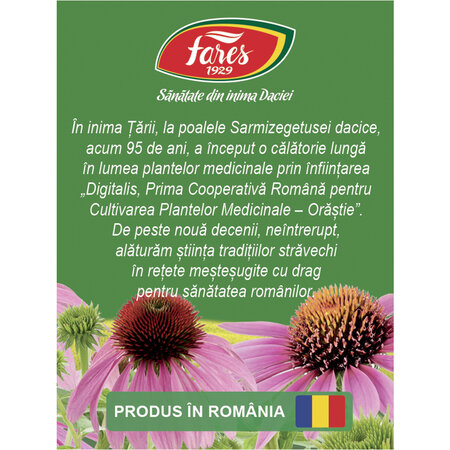 Ceai Echinacea F 185, 20 plicuri, Fares 618345