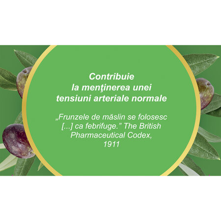 Ceai Frunze de Maslin F 189, 50 g, Fares 618463