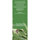 Ceai Frunze de Maslin F 189, 50 g, Fares 618462