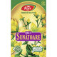 Ceai de Sunatoare N 164, 20 plicuri, Fares 618417