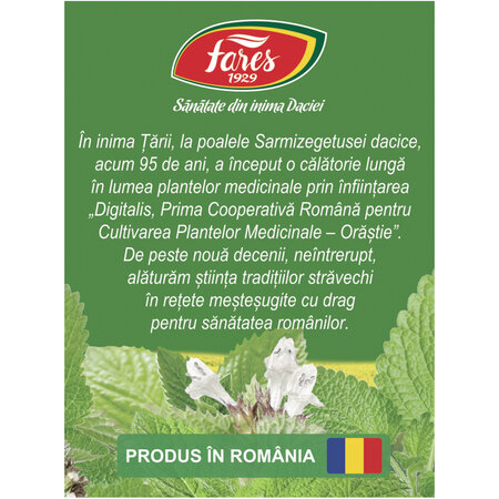 Ceai de Roinita N 145, 20 plicuri, Fares 618377