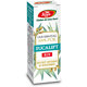 Ulei esential de eucalipt R19, 10 ml, Fares 620791