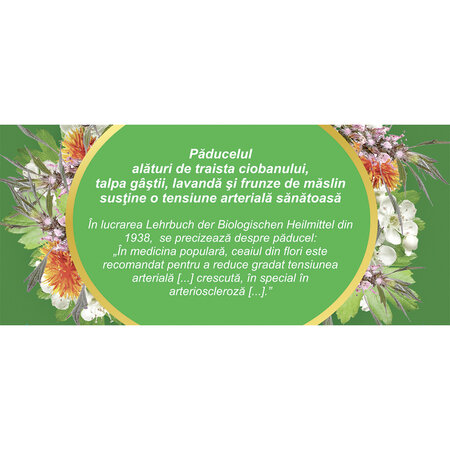 Ceai pentru tensiune, C25, 20 plicuri, Fares 623579