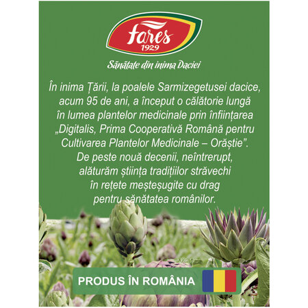 Ceai de Anghinare frunze D110, 20 plicuri, Fares 618512
