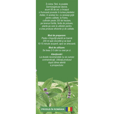 Ceai de Menta D 122, 50 g, Fares 618647