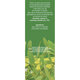 Ceai Vasc cu ramurele C41, 50 g, Fares 618264