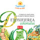 Complex natural din plante medicinale Detoxifierea colonului, D92, 28 plicuri, Fares 621154