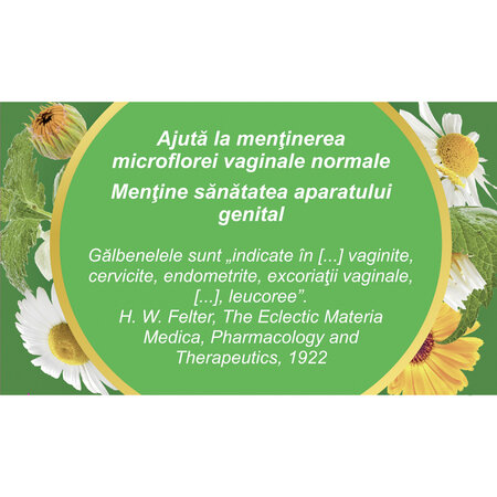 Ceai Ginosept, G70, 50 g, Fares 623513