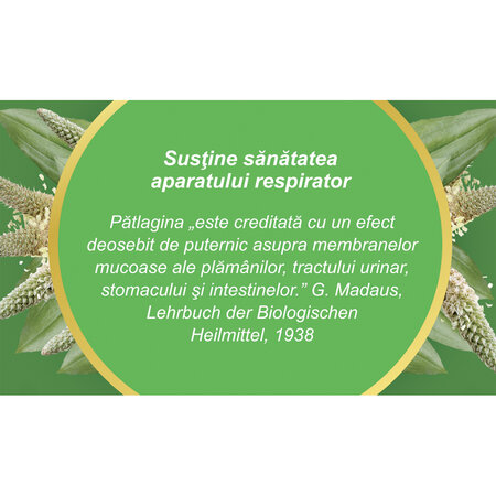 Ceai Patlagina frunze R41, 50 g, Fares 618121