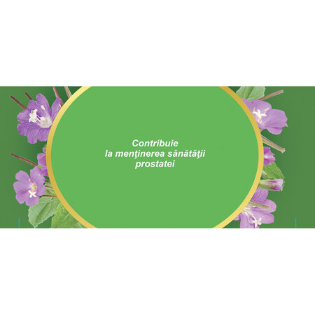 Ceai de Pufulita cu Flori Mici U 89, 20 plicuri, Fares 618530