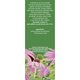 Ceai de Echinacea F186, 50 g, Fares 618633
