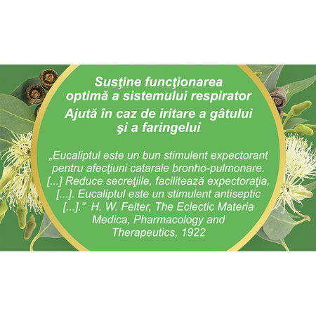 Ceai Eucalipt frunze R33, 50 g, Fares 618565