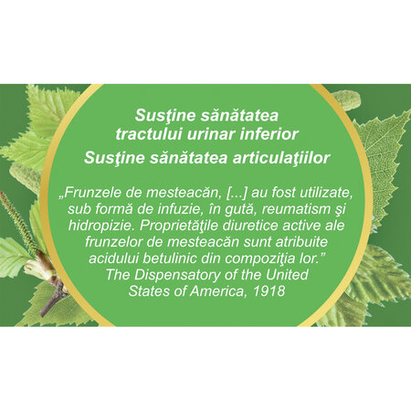 Ceai Mesteacan frunze U 92, 50 g, Fares 618089