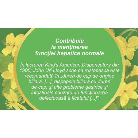 Ceai Rostopasca iarba D 130, 50 g, Fares 618152