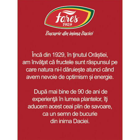Ceai cu goji si fructe de padure Aromfruct, 20 plicuri, Fares 604238