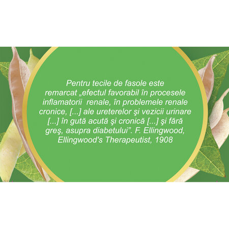 Ceai Teci de Fasole U 93, 50 g, Fares 618304