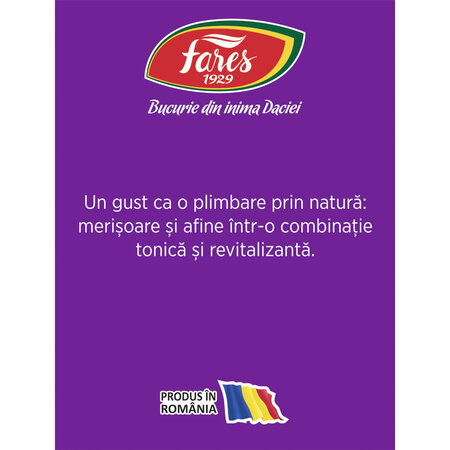 Ceai cu merisoare si afine, 20 plicuri, Fares 604242