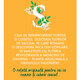 Ceai Salcam cu Ginseng Simtire, 20 plicuri, Fares 621143