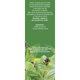 Ceai Busuioc iarba D129, 50 g, Fares 618599