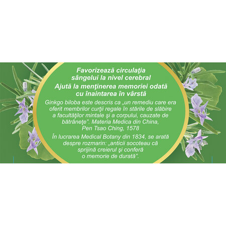 Ceai Circulatie Cerebrala, N131, 20 plicuri, Fares 623583