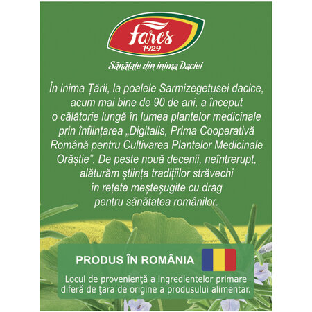 Ceai Circulatie Cerebrala, N131, 20 plicuri, Fares 623585
