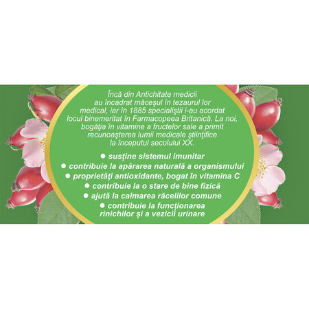 Ceai de macese F 181, 20 plicuri, Fares 618405