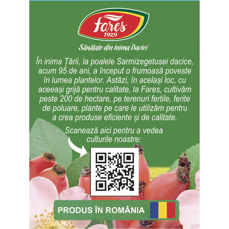 Ceai de macese F 181, 20 plicuri, Fares 618403