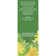Ceai de Papadie D 126, 50 g, Fares 618388