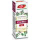 Ulei esential de cimbru A6, 10 ml, Fares 620846